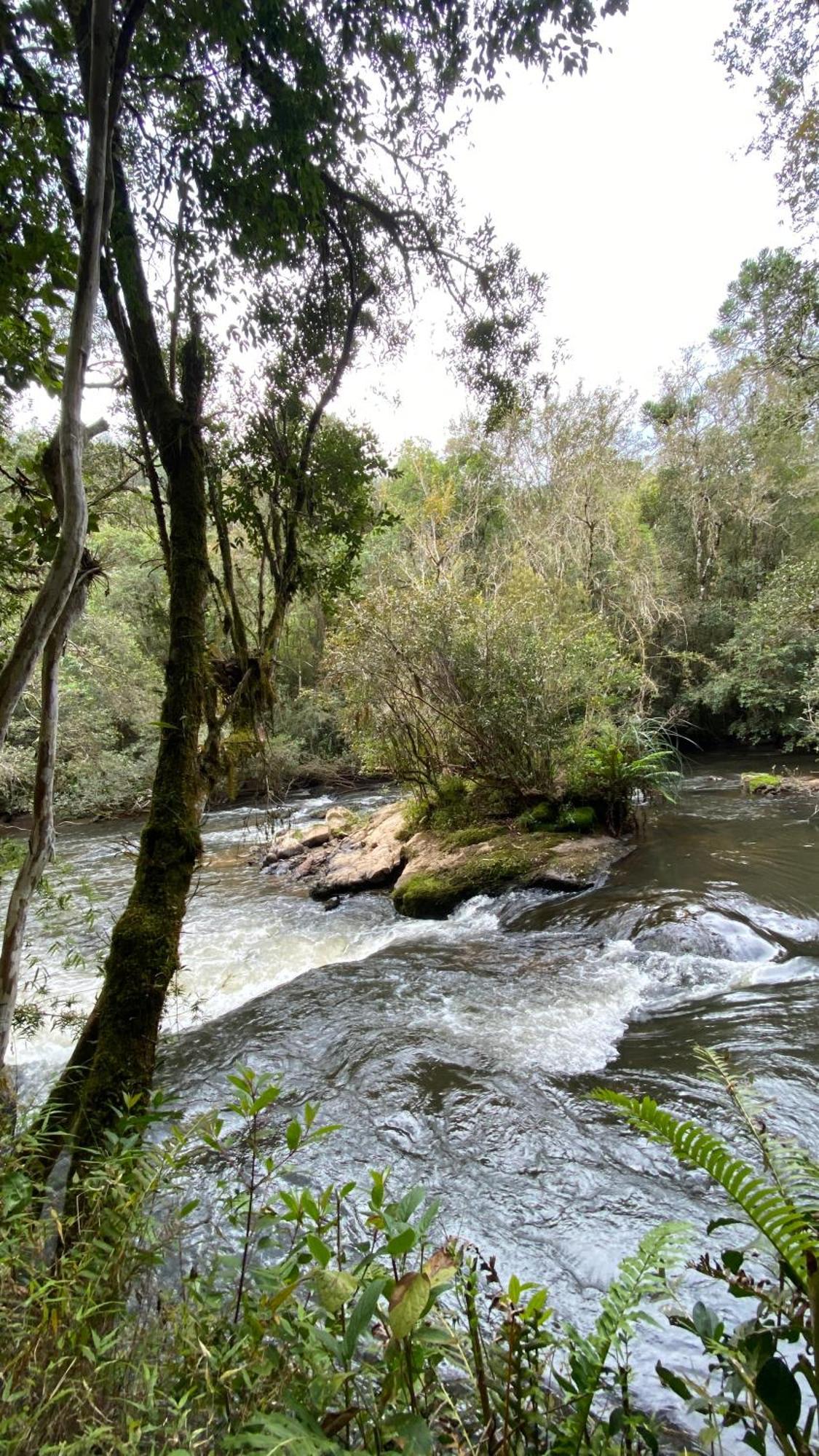 Pousada Recanto do Sauá - Monte Verde Monte Verde (Minas Gerais) Exterior foto